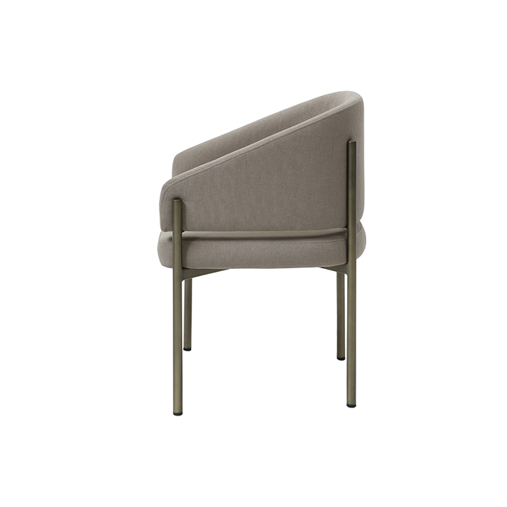 Oxford-A Modern Dining Chair