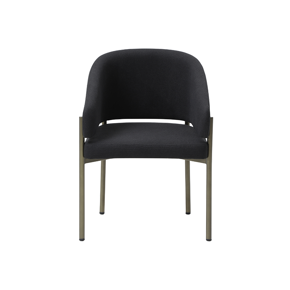 Oxford-C Modern Dining Chair