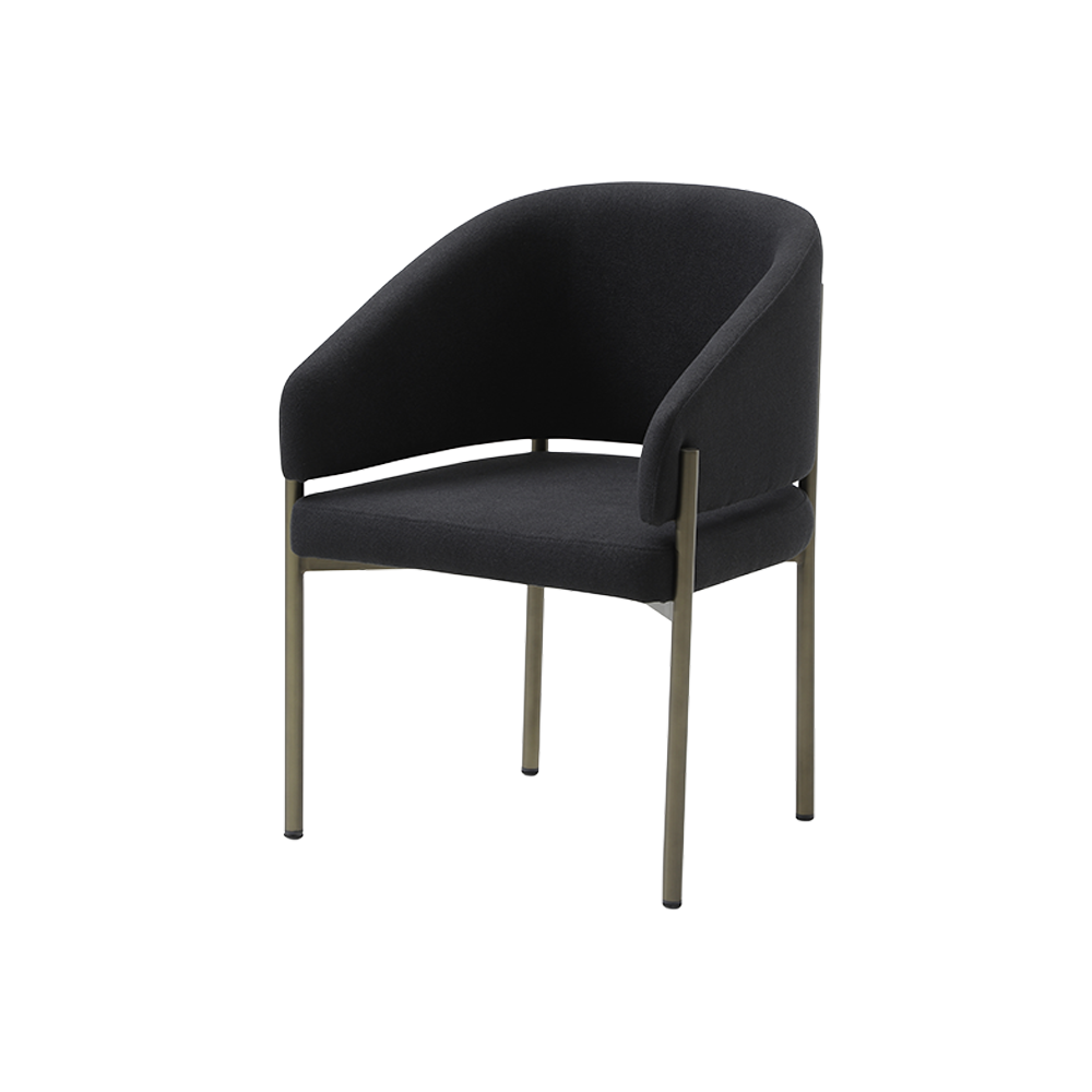 Oxford-C Modern Dining Chair